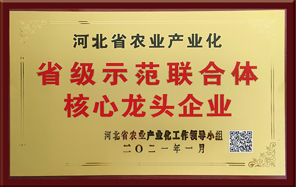 省級示聯合體核心龍頭企業
