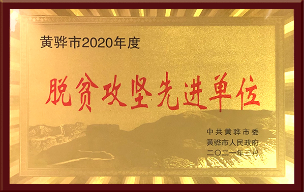 脫貧攻堅先進單位